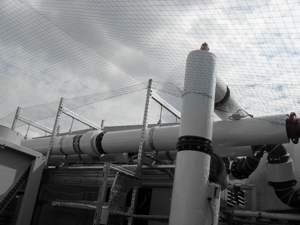 Bird Control in Altrincham, Greater Manchester
